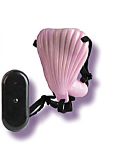 picture of Remote Control Sea Shell copyright © Discreet Online Shopping. Used by permission.