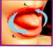 tongue and mouth